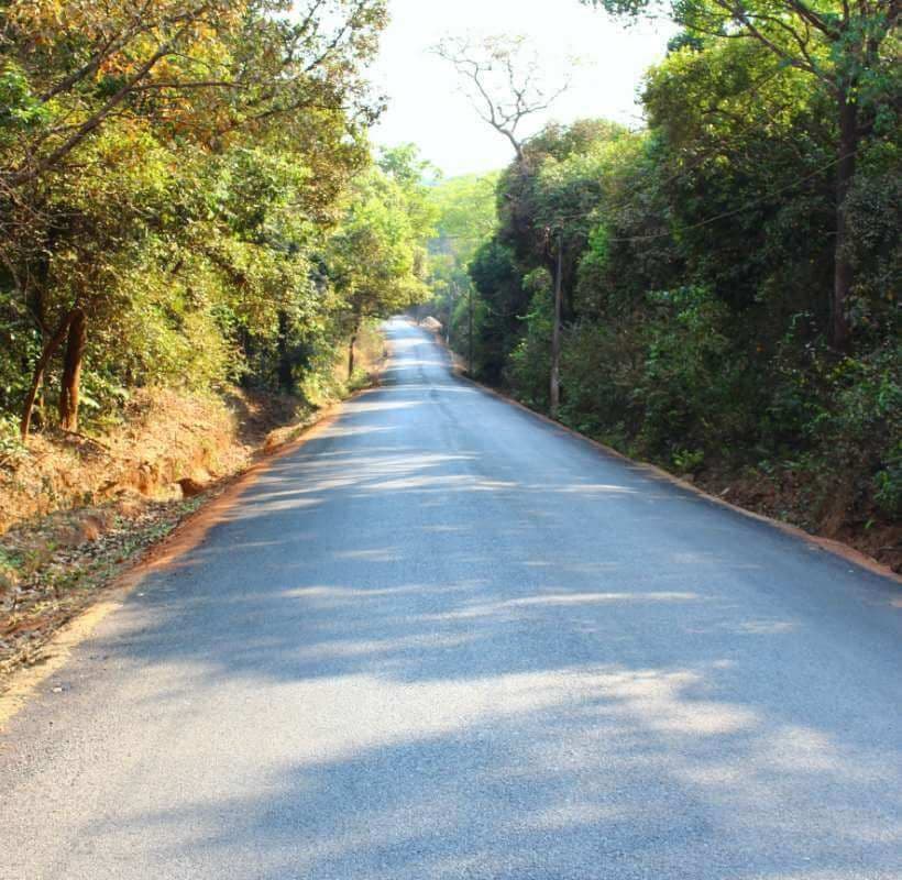 Unpaved Road Stabilization