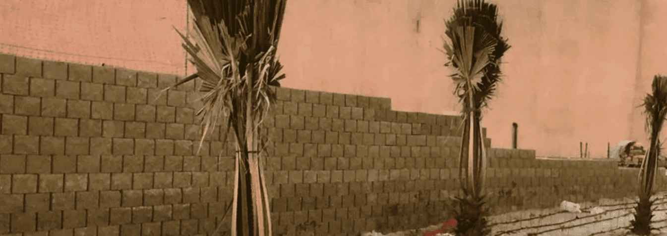 project-banner