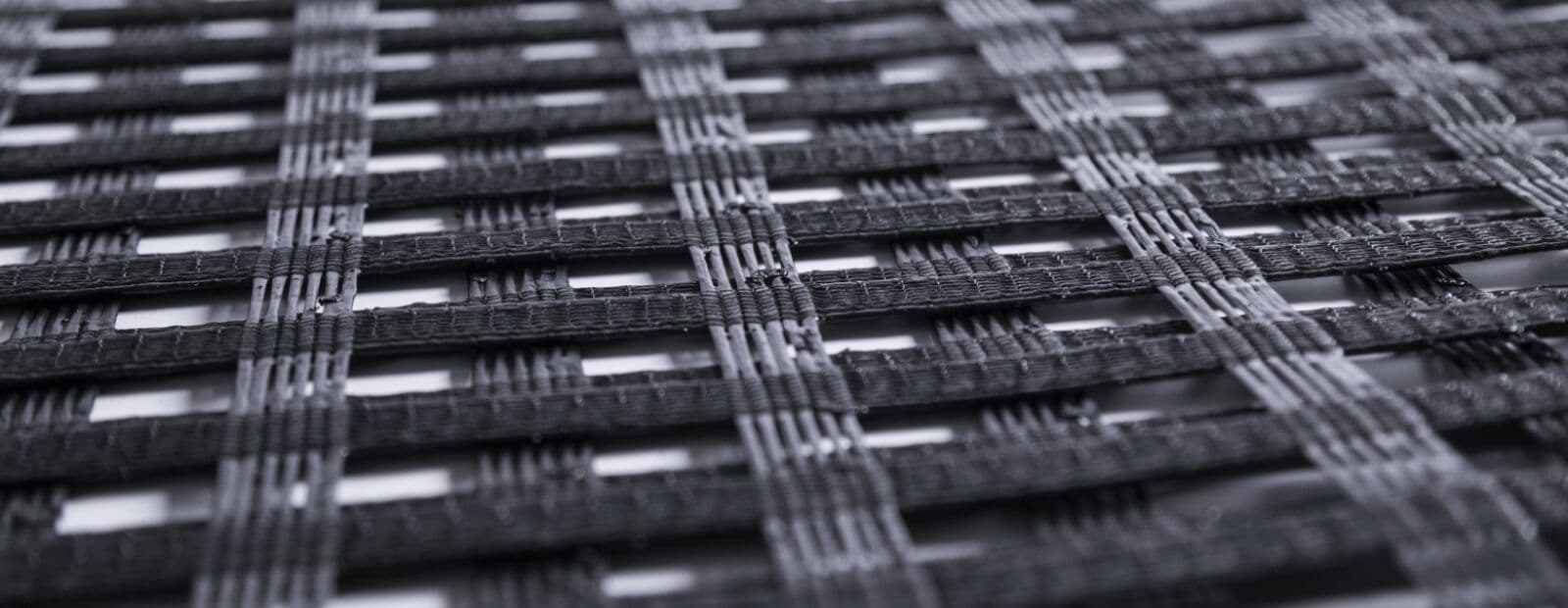 Geogrid