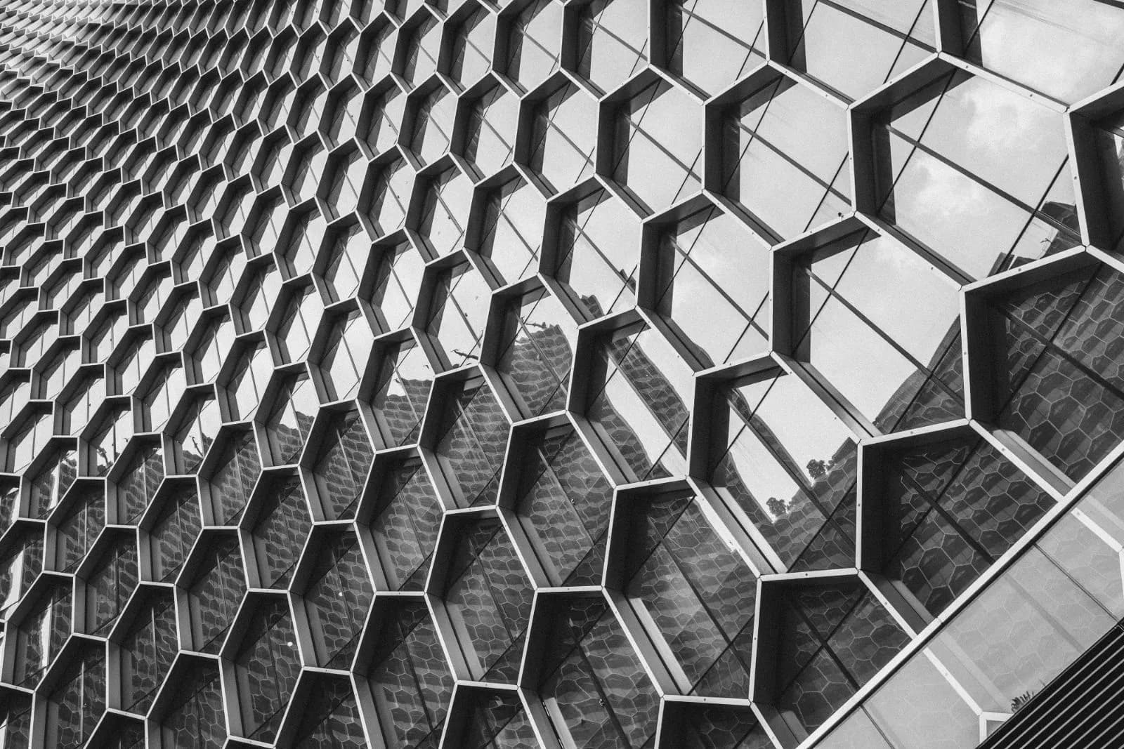 Capability of Design