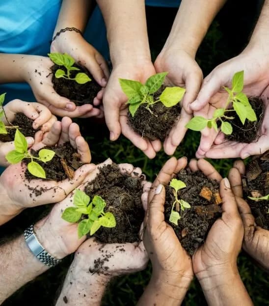 Hands holding plants