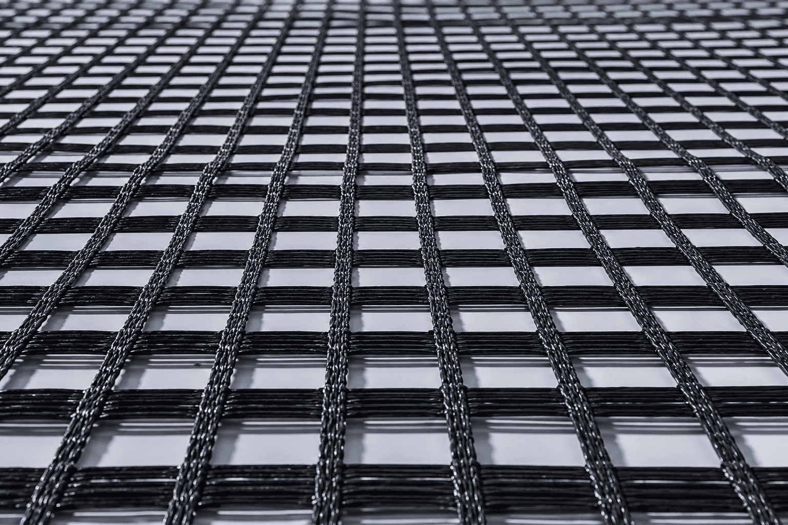 Geogrid