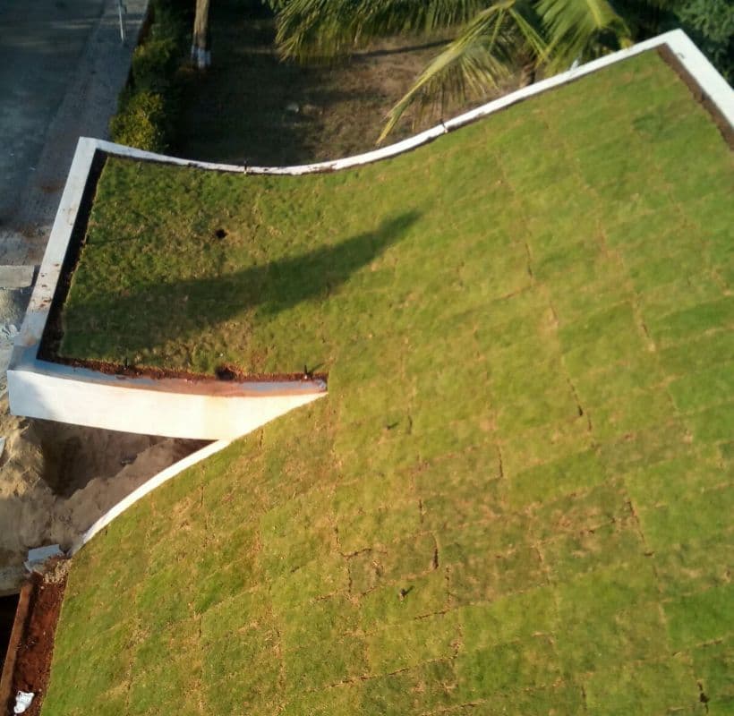Green roofs