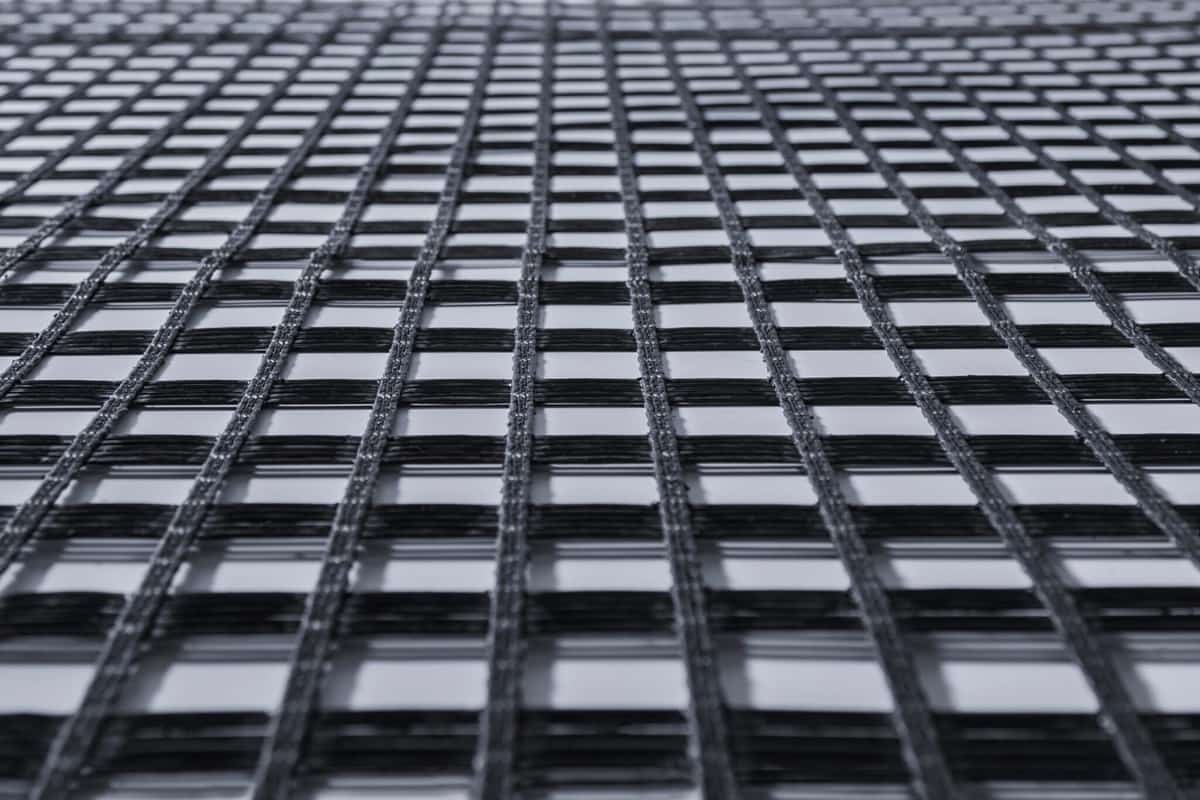 Geogrid