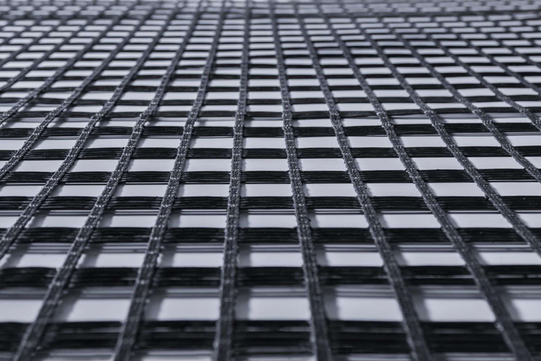 Geogrid