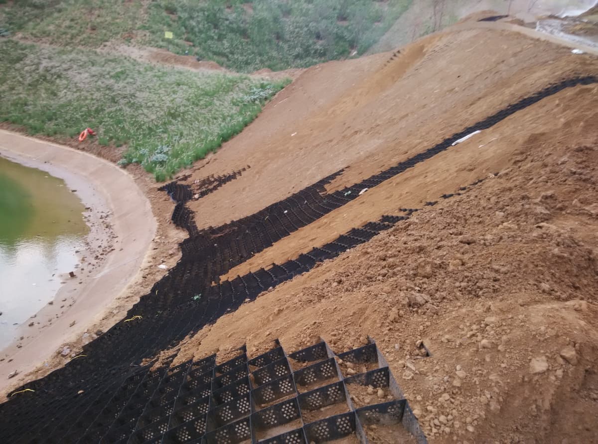 Project