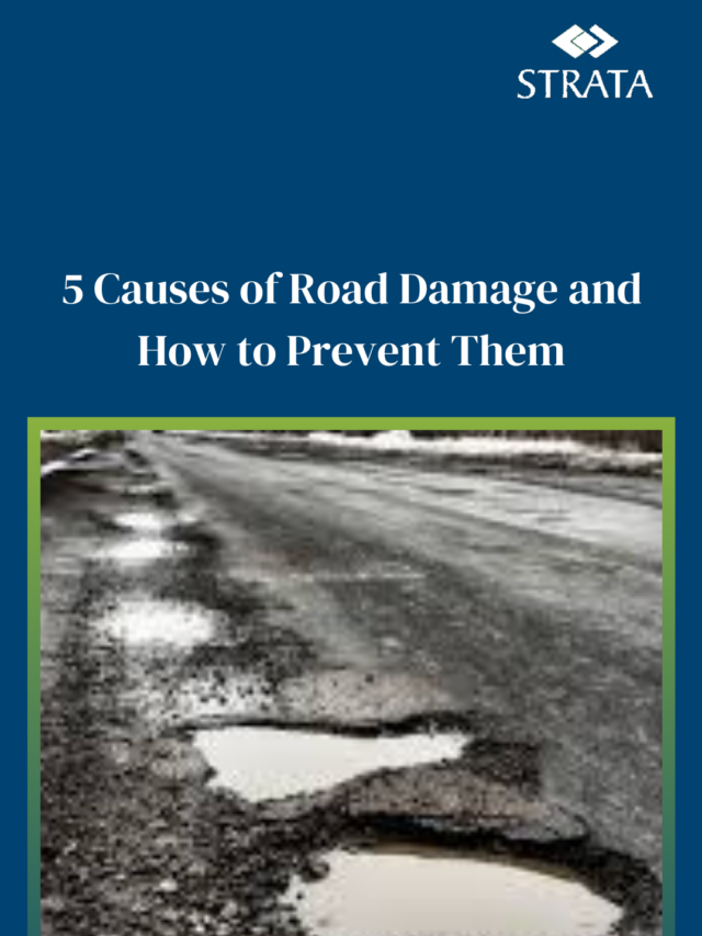 5 causes of road damage. How to prevent them?